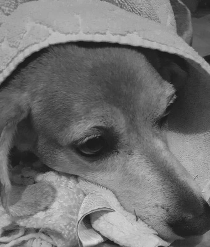 .facebook_1539576641409